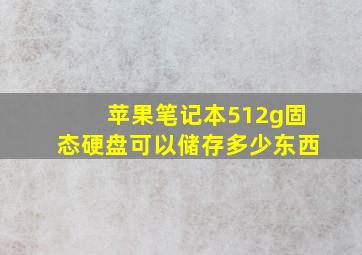 苹果笔记本512g固态硬盘可以储存多少东西