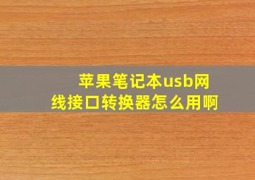 苹果笔记本usb网线接口转换器怎么用啊