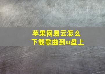 苹果网易云怎么下载歌曲到u盘上