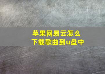 苹果网易云怎么下载歌曲到u盘中