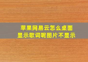 苹果网易云怎么桌面显示歌词呢图片不显示