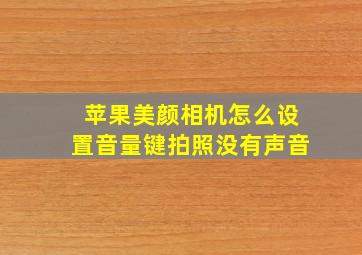 苹果美颜相机怎么设置音量键拍照没有声音