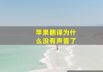 苹果翻译为什么没有声音了