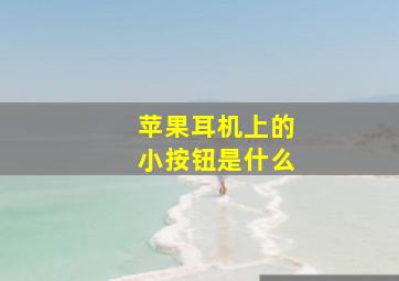 苹果耳机上的小按钮是什么