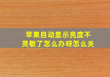 苹果自动显示亮度不灵敏了怎么办呀怎么关