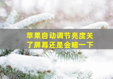 苹果自动调节亮度关了屏幕还是会暗一下