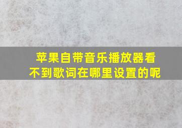 苹果自带音乐播放器看不到歌词在哪里设置的呢