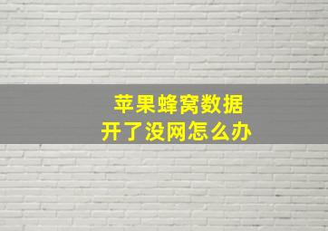 苹果蜂窝数据开了没网怎么办