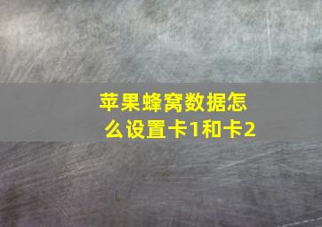 苹果蜂窝数据怎么设置卡1和卡2