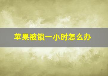 苹果被锁一小时怎么办