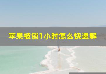 苹果被锁1小时怎么快速解