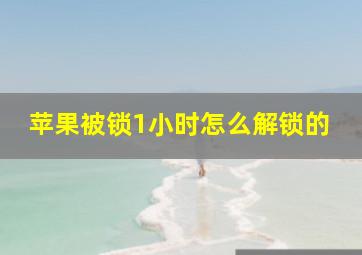 苹果被锁1小时怎么解锁的