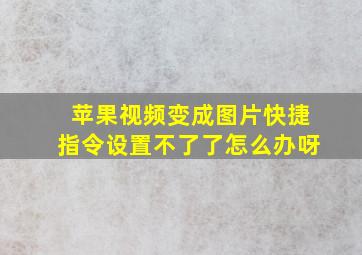 苹果视频变成图片快捷指令设置不了了怎么办呀