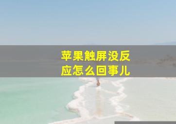 苹果触屏没反应怎么回事儿