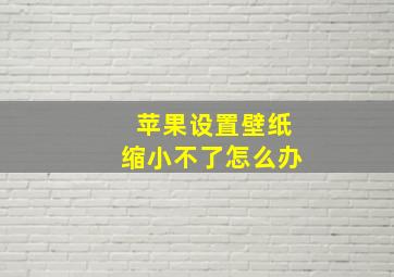 苹果设置壁纸缩小不了怎么办