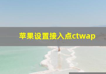 苹果设置接入点ctwap