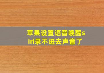 苹果设置语音唤醒siri录不进去声音了