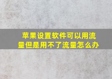 苹果设置软件可以用流量但是用不了流量怎么办