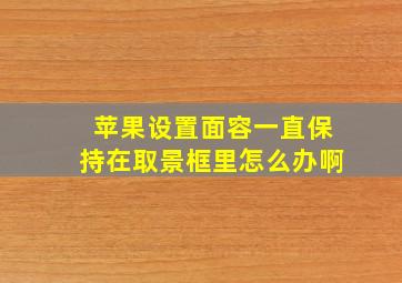 苹果设置面容一直保持在取景框里怎么办啊