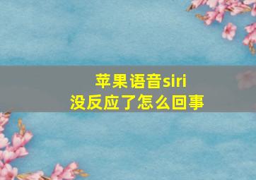 苹果语音siri没反应了怎么回事