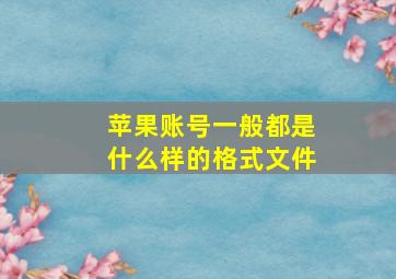 苹果账号一般都是什么样的格式文件