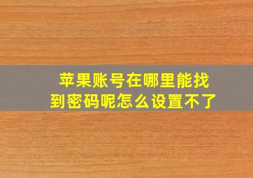 苹果账号在哪里能找到密码呢怎么设置不了