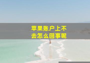 苹果账户上不去怎么回事呢