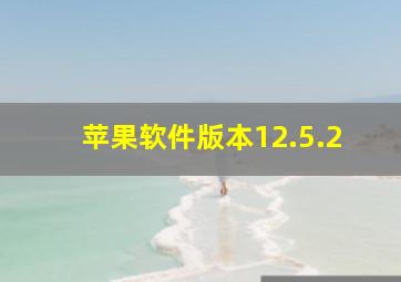 苹果软件版本12.5.2