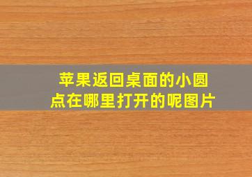 苹果返回桌面的小圆点在哪里打开的呢图片