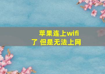 苹果连上wifi了 但是无法上网