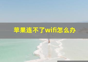 苹果连不了wifi怎么办