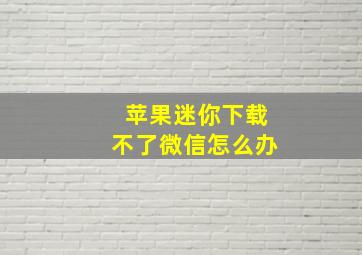 苹果迷你下载不了微信怎么办