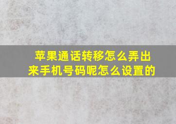 苹果通话转移怎么弄出来手机号码呢怎么设置的