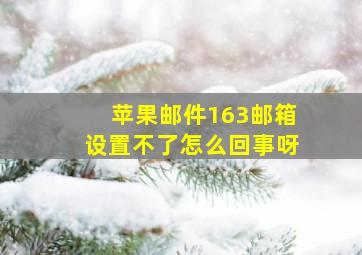 苹果邮件163邮箱设置不了怎么回事呀