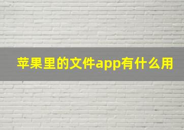 苹果里的文件app有什么用