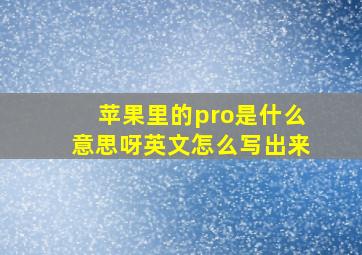 苹果里的pro是什么意思呀英文怎么写出来