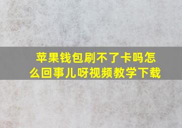 苹果钱包刷不了卡吗怎么回事儿呀视频教学下载