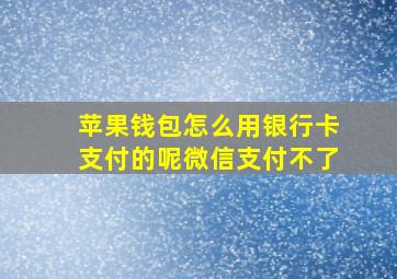 苹果钱包怎么用银行卡支付的呢微信支付不了