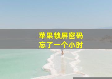 苹果锁屏密码忘了一个小时