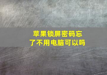 苹果锁屏密码忘了不用电脑可以吗