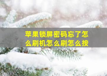 苹果锁屏密码忘了怎么刷机怎么刷怎么按