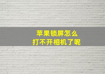 苹果锁屏怎么打不开相机了呢