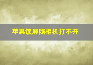 苹果锁屏照相机打不开