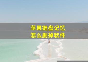 苹果键盘记忆怎么删掉软件