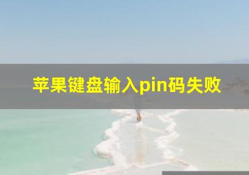 苹果键盘输入pin码失败