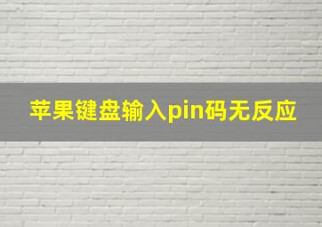 苹果键盘输入pin码无反应