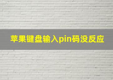 苹果键盘输入pin码没反应