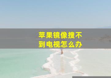 苹果镜像搜不到电视怎么办