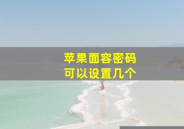 苹果面容密码可以设置几个