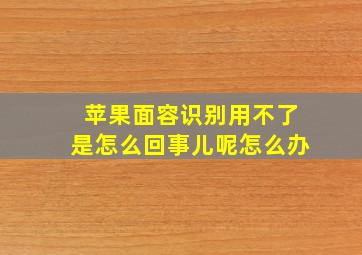 苹果面容识别用不了是怎么回事儿呢怎么办